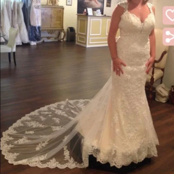 Stella york hotsell 6245 price